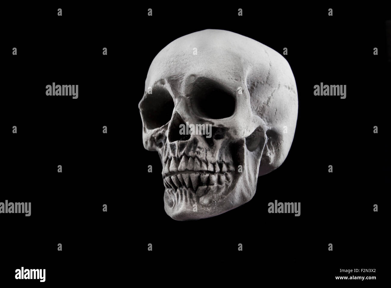 Un cranio di Halloween decorazione isolata su uno sfondo nero Foto Stock