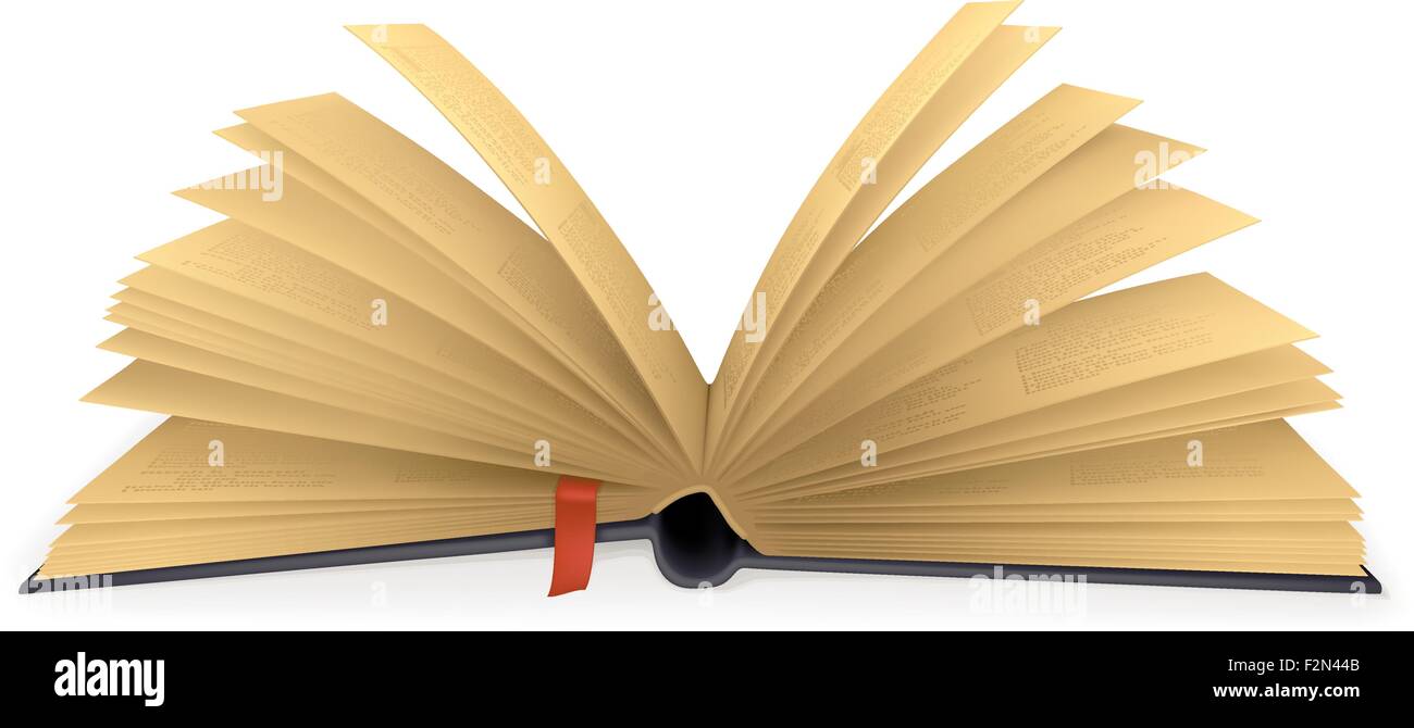 Libro Aperto, vettore Illustrazione Vettoriale