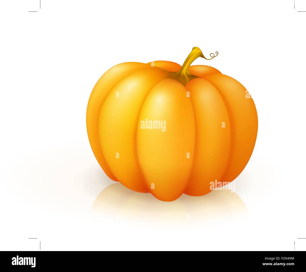 Zucca, vettoriale Illustrazione Vettoriale