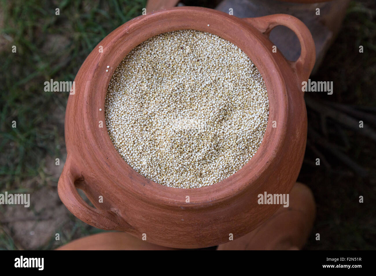 Quinoa. Foto Stock