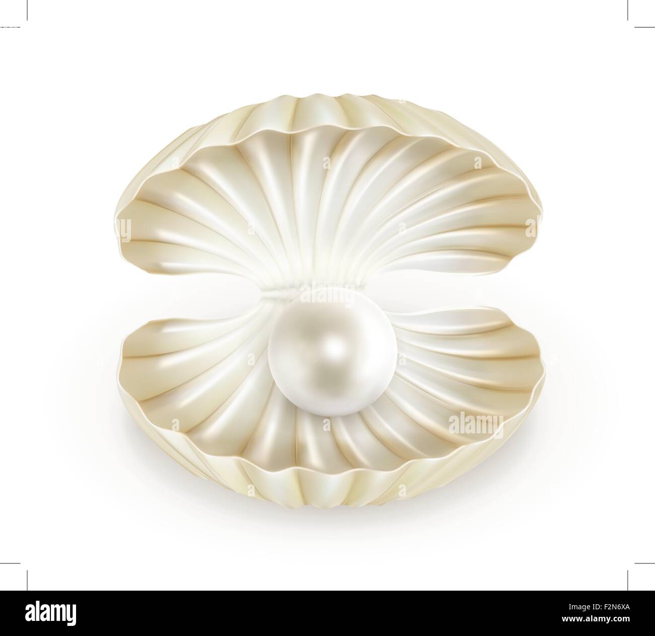 Perla, vettoriale Illustrazione Vettoriale