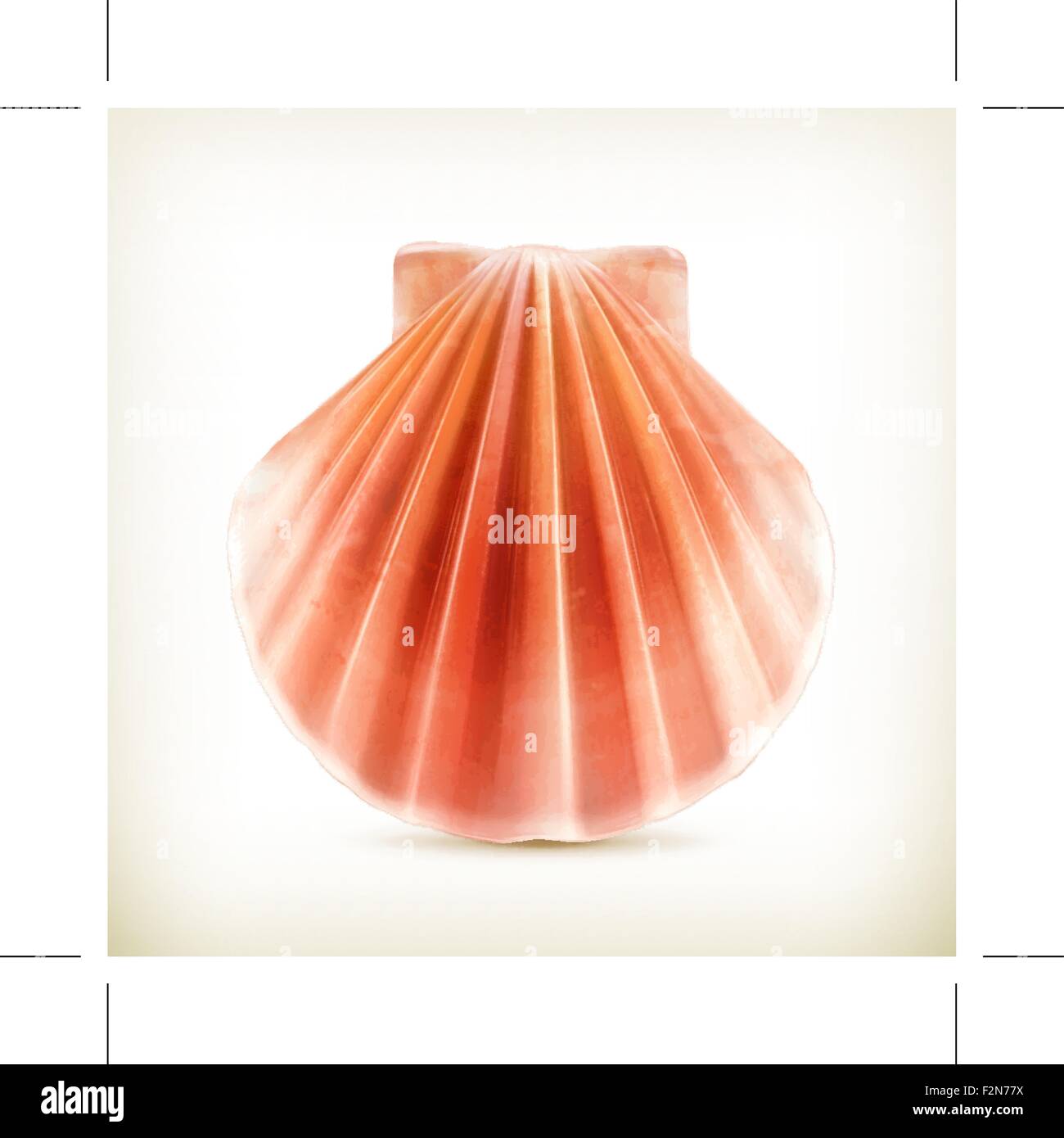 Seashell, icona del vettore Illustrazione Vettoriale