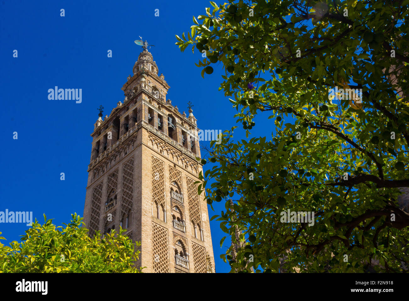 Vista della famosa Giralda di Siviglia, Spagna Foto Stock