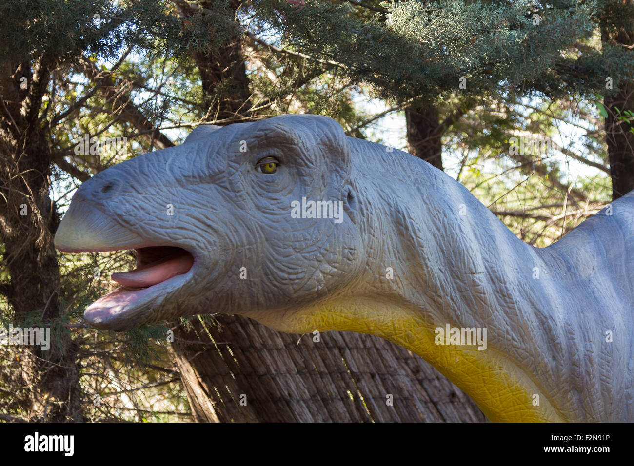 Lenta dinosauro erbivori Brachiosaurus Foto Stock