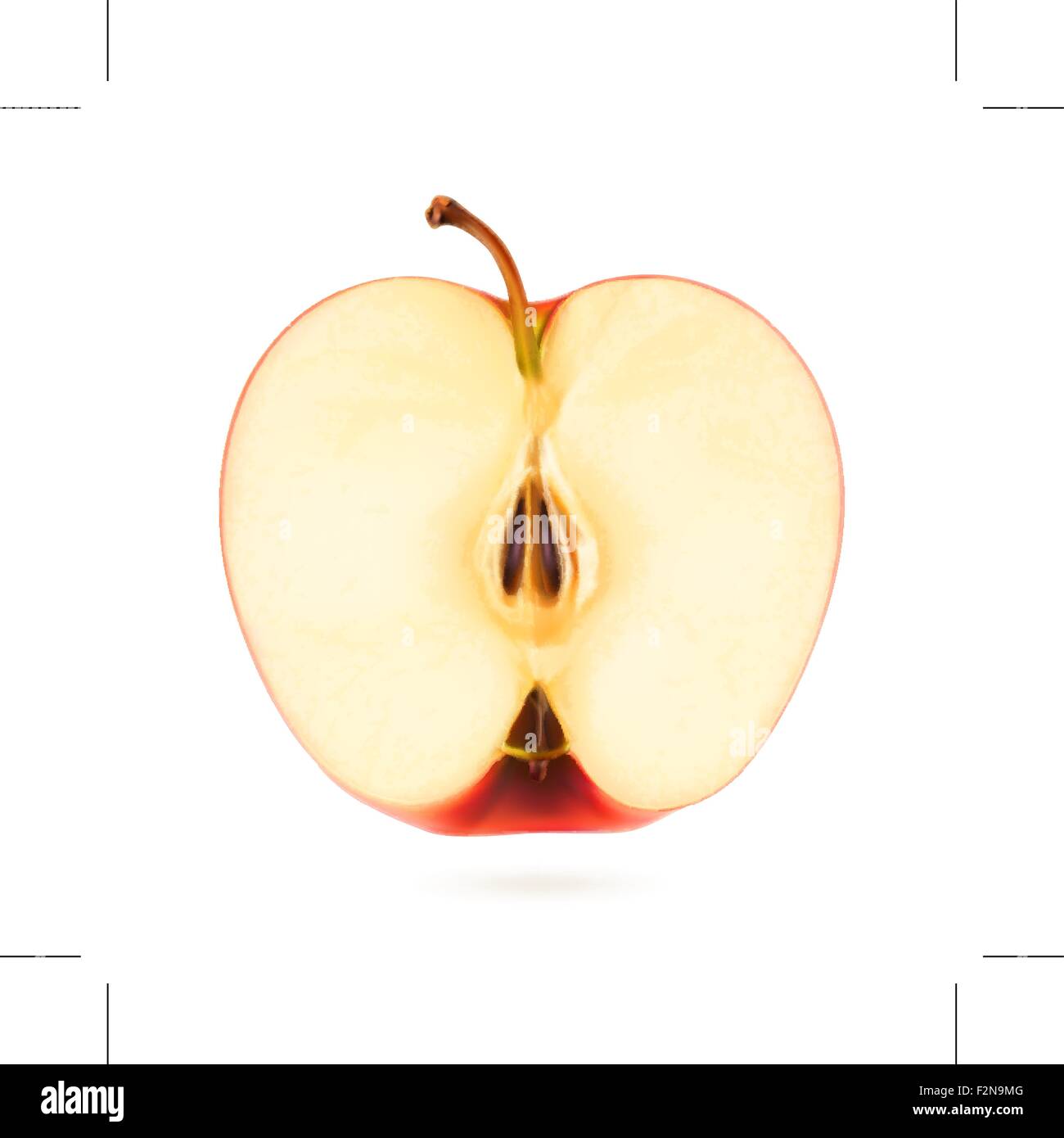 Mezza mela, illustrazione vettoriale Illustrazione Vettoriale