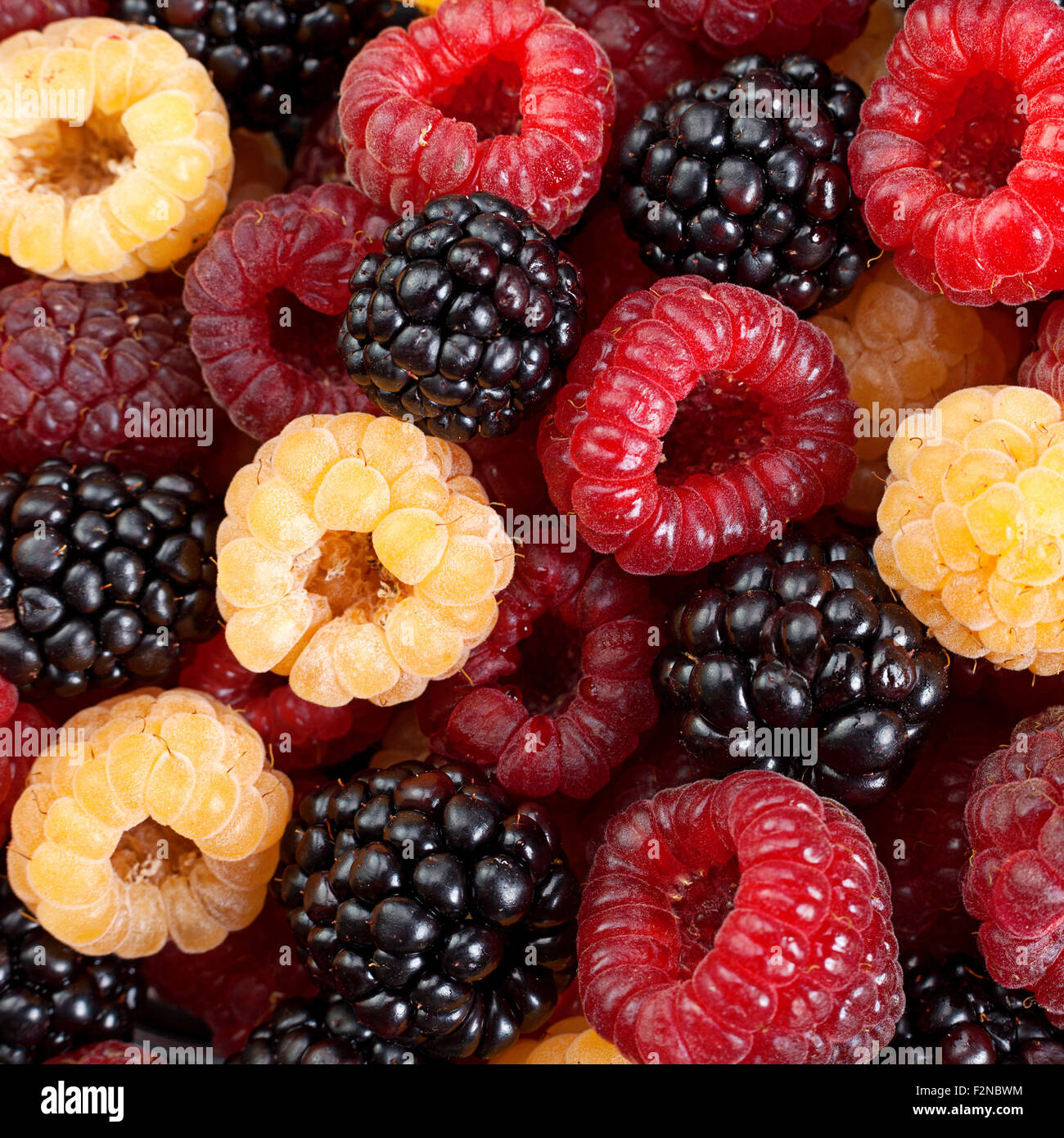 Blackberry e frutta Lampone closeup sfondo Foto Stock