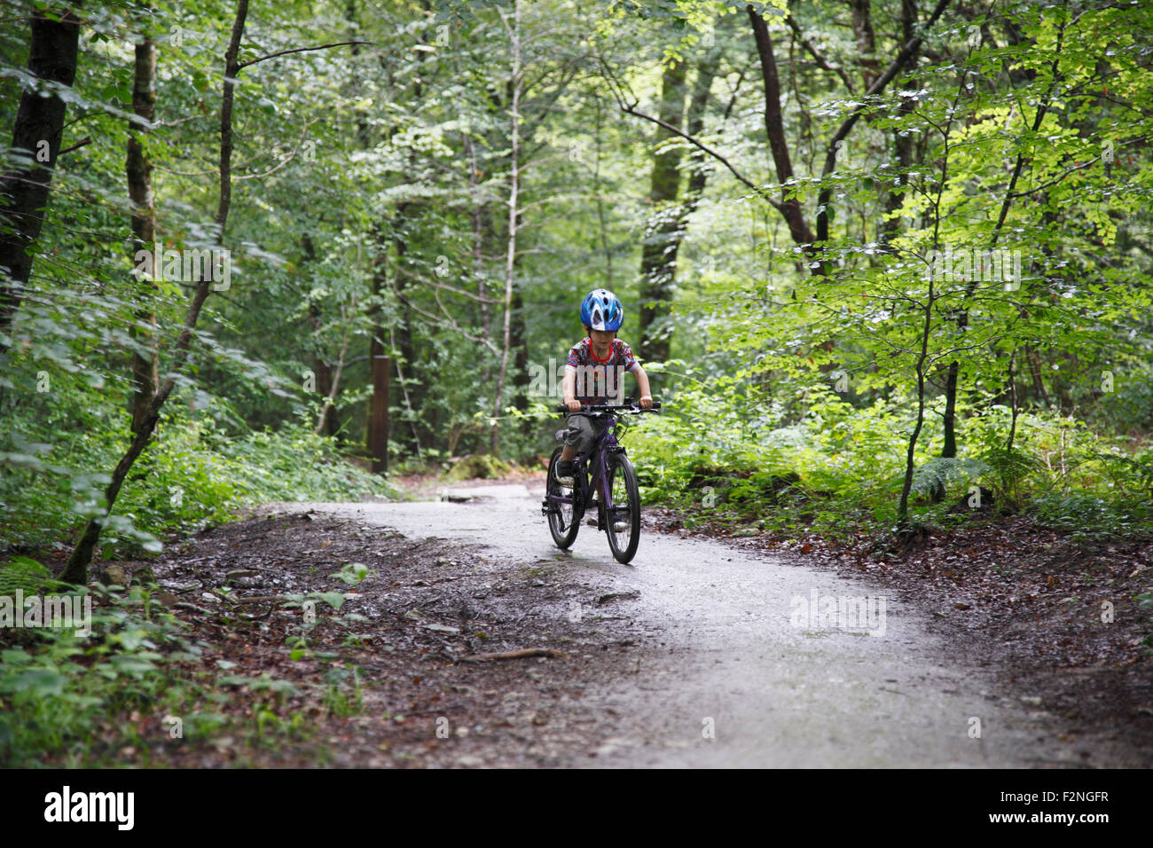 5 anno vecchio ragazzo mountain bike attraverso boschi. Lanhydrock boschi. La Cornovaglia. Regno Unito. Foto Stock