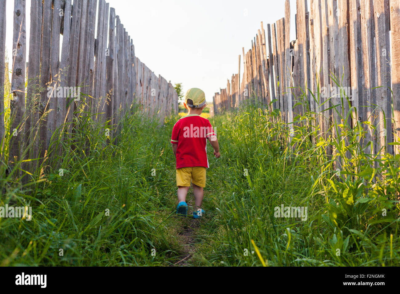Mari boy camminando in erba tra le recinzioni Foto Stock