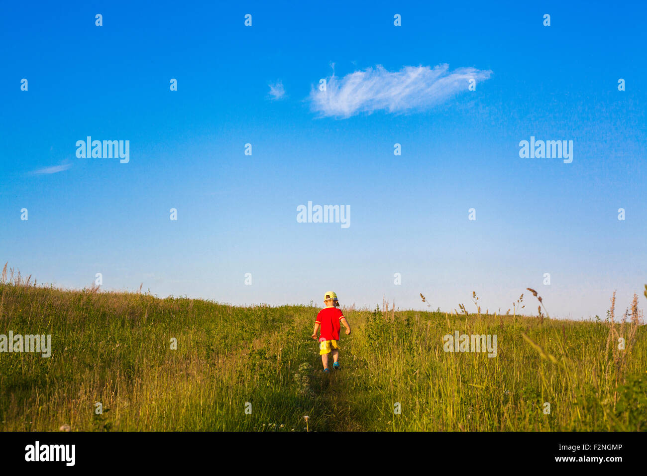Mari boy camminare in campo rurale Foto Stock