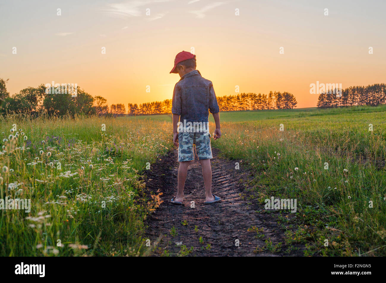 Mari boy in piedi in tracce di pneumatici in campo rurale Foto Stock