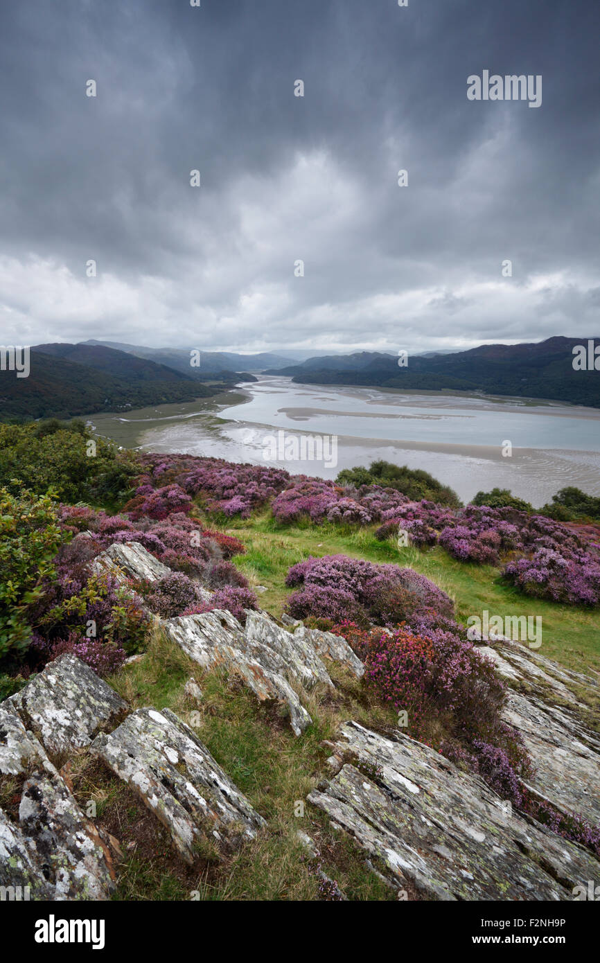 Il Mawddach Estuary dal Panorama a piedi. Parco Nazionale di Snowdonia. Gwynedd. Il Galles. Regno Unito. Foto Stock