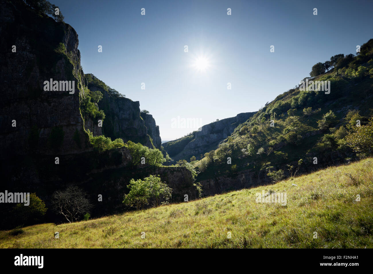 Cheddar Gorge. Somerset. Regno Unito. Foto Stock