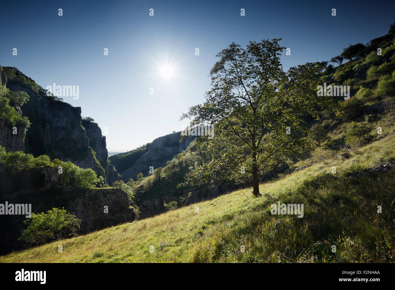 Cheddar Gorge. Somerset. Regno Unito. Foto Stock