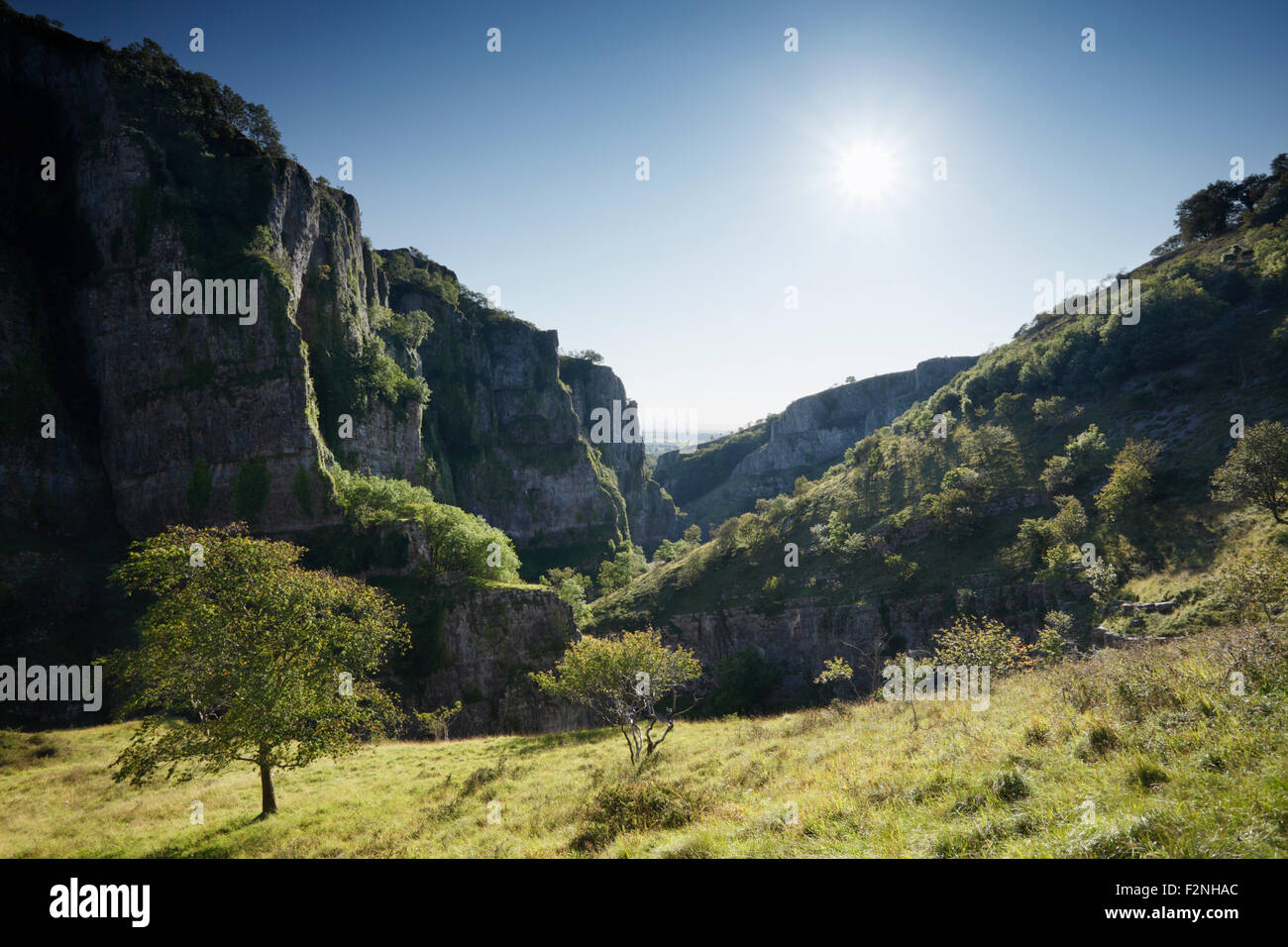 Cheddar Gorge. Somerset. Regno Unito. Foto Stock