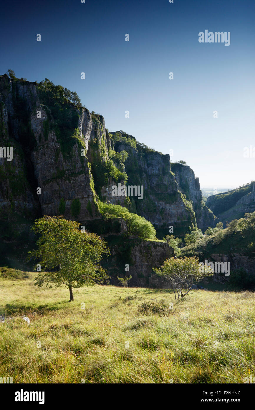 Cheddar Gorge. Somerset. Regno Unito. Foto Stock