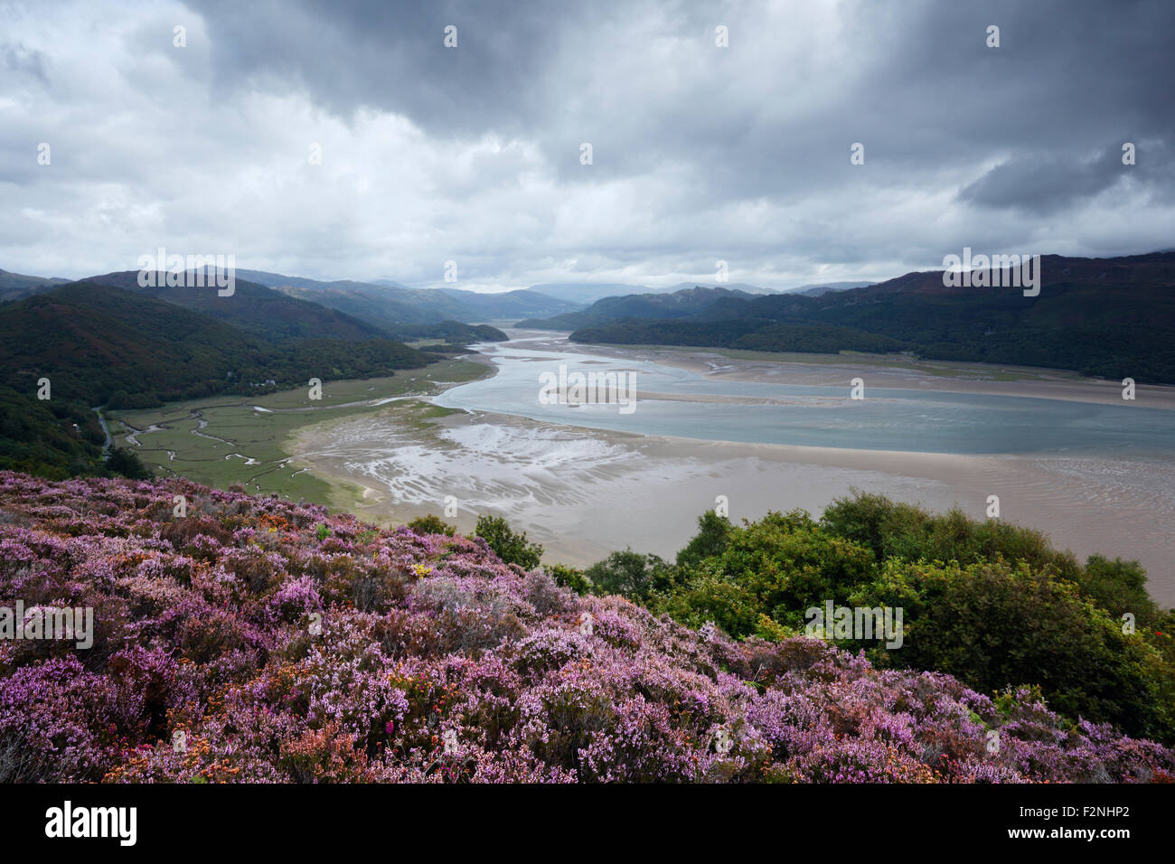 Il Mawddach Estuary dal Panorama a piedi. Parco Nazionale di Snowdonia. Gwynedd. Il Galles. Regno Unito. Foto Stock
