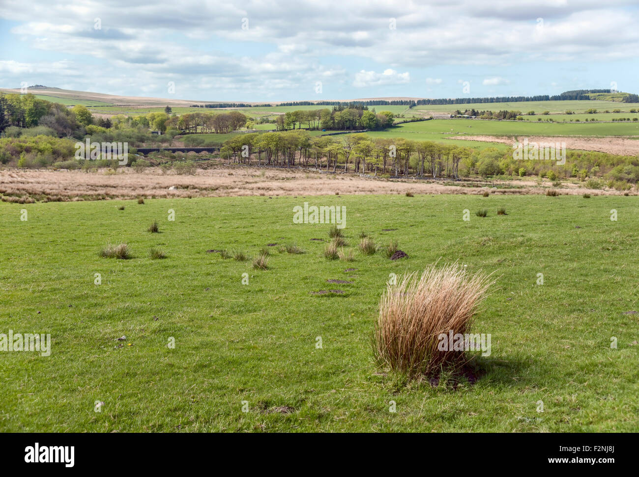 Paesaggio al Dartmoor National Park, Devon, Inghilterra, Regno Unito Foto Stock