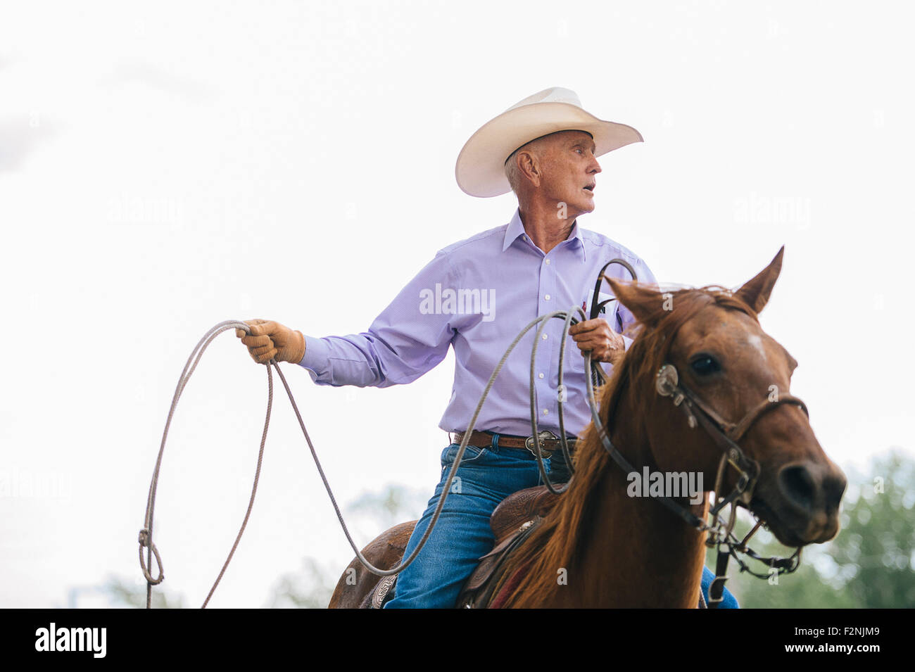 Caucasian cowboy a cavallo in rodeo Foto Stock