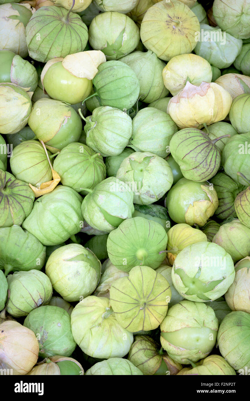 Verde tomatillos freschi presso il locale mercato degli agricoltori Foto Stock