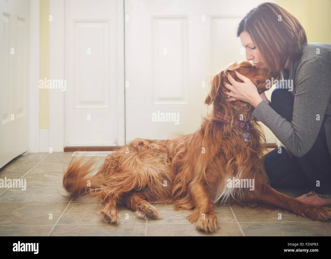 La donna caucasica baciare cane sul pavimento Foto Stock