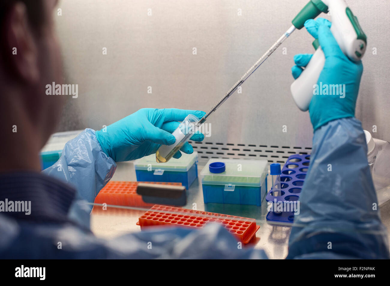 Razza mista scienziato soluzione di pipettaggio in tubi di test in laboratorio Foto Stock