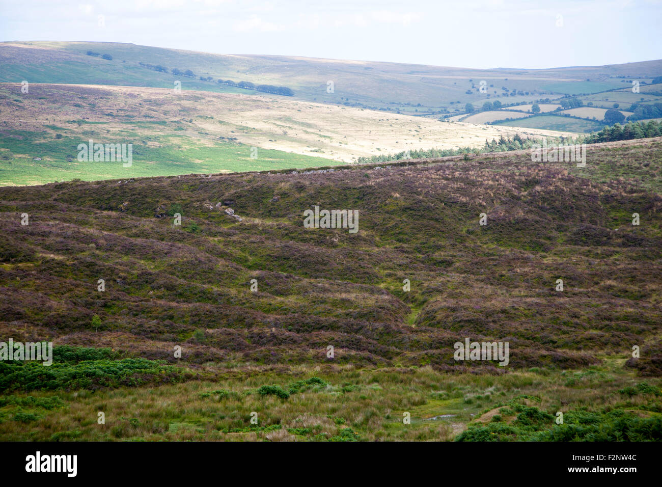 Paesaggio di brughiera, parco nazionale di Dartmoor, vicino Postbridge, Devon, Inghilterra, Regno Unito Foto Stock