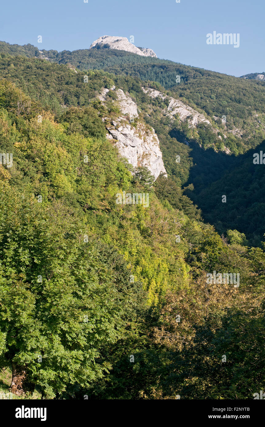 Vista della foresta montagne coperte di Aizkorri parco naturale. Paese basco. Foto Stock