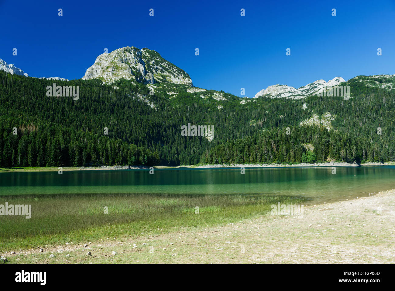Il pittoresco Lago Nero d'estate. Parco Nazionale del Durmitor, Montenegro, Balcani Foto Stock