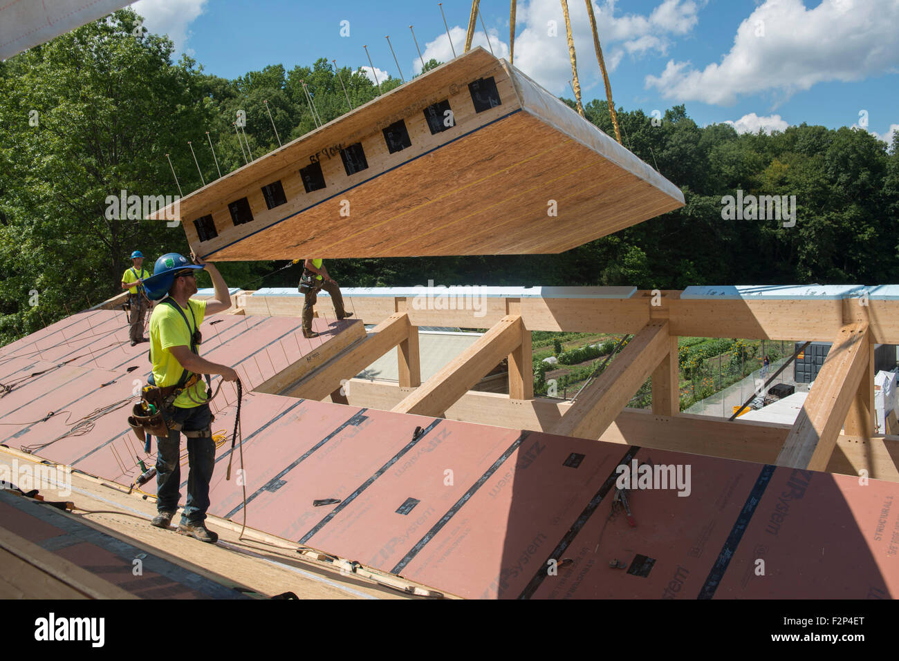 Lavoratori edili installare i pannelli del tetto sul platino Leed terreno comune ad alto edificio scolastico. Foto Stock