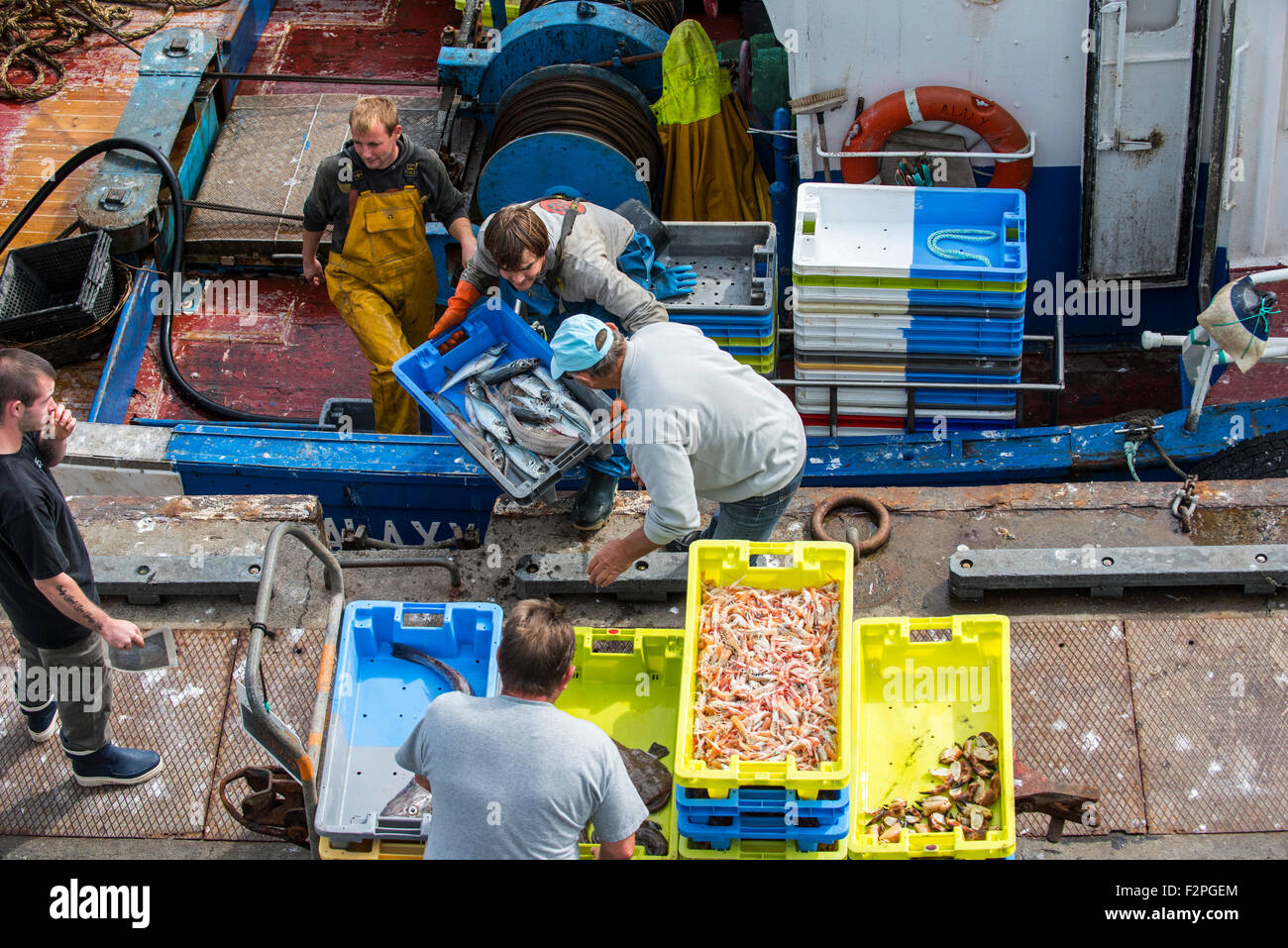 I pescatori a bordo del peschereccio per traino barca da pesca di cattura di scarico lungo il molo del pesce del mercato di aste Foto Stock