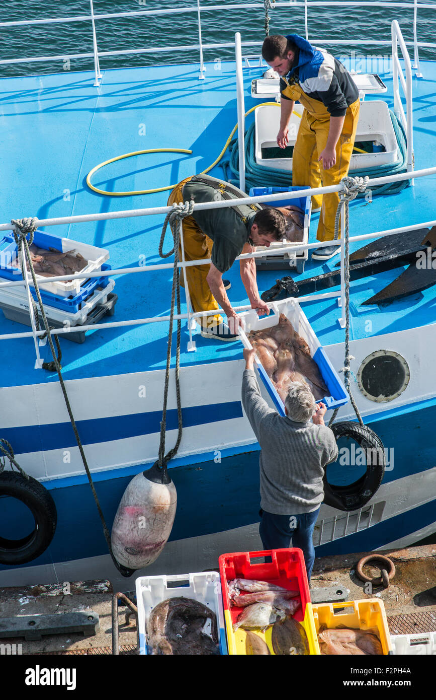 I pescatori a bordo del peschereccio per traino barca da pesca di cattura di scarico lungo il molo del pesce del mercato di aste Foto Stock