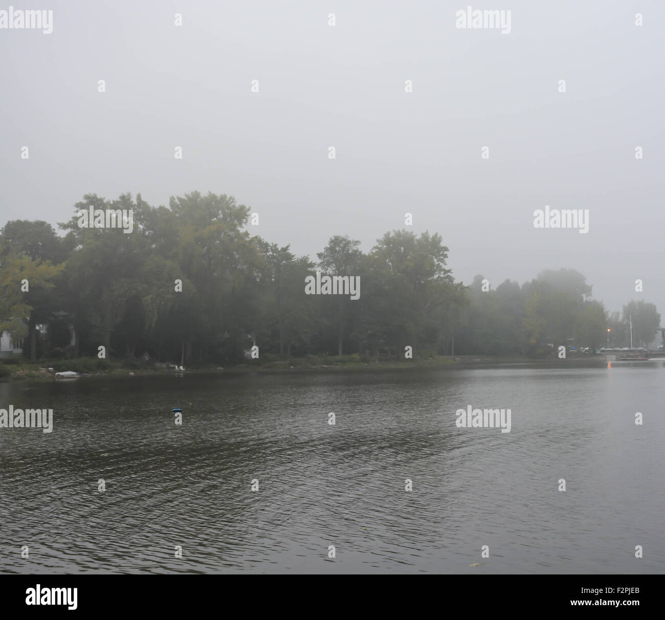 Nebbioso giorno su un lago settentrionale Foto Stock