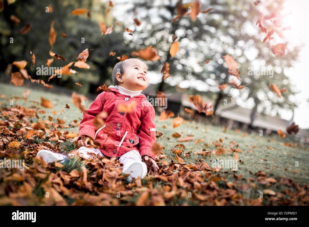 Il Toddler sat in caduta di foglie di autunno Foto Stock Il Toddler sat in caduta di foglie di autunno Foto Stock