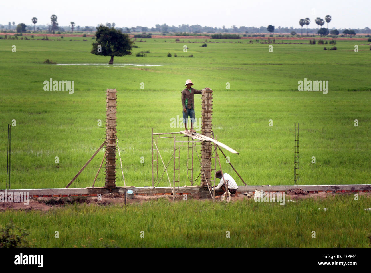 Siem Reap Cambogia campi costruzione rurale di fattoria Foto Stock