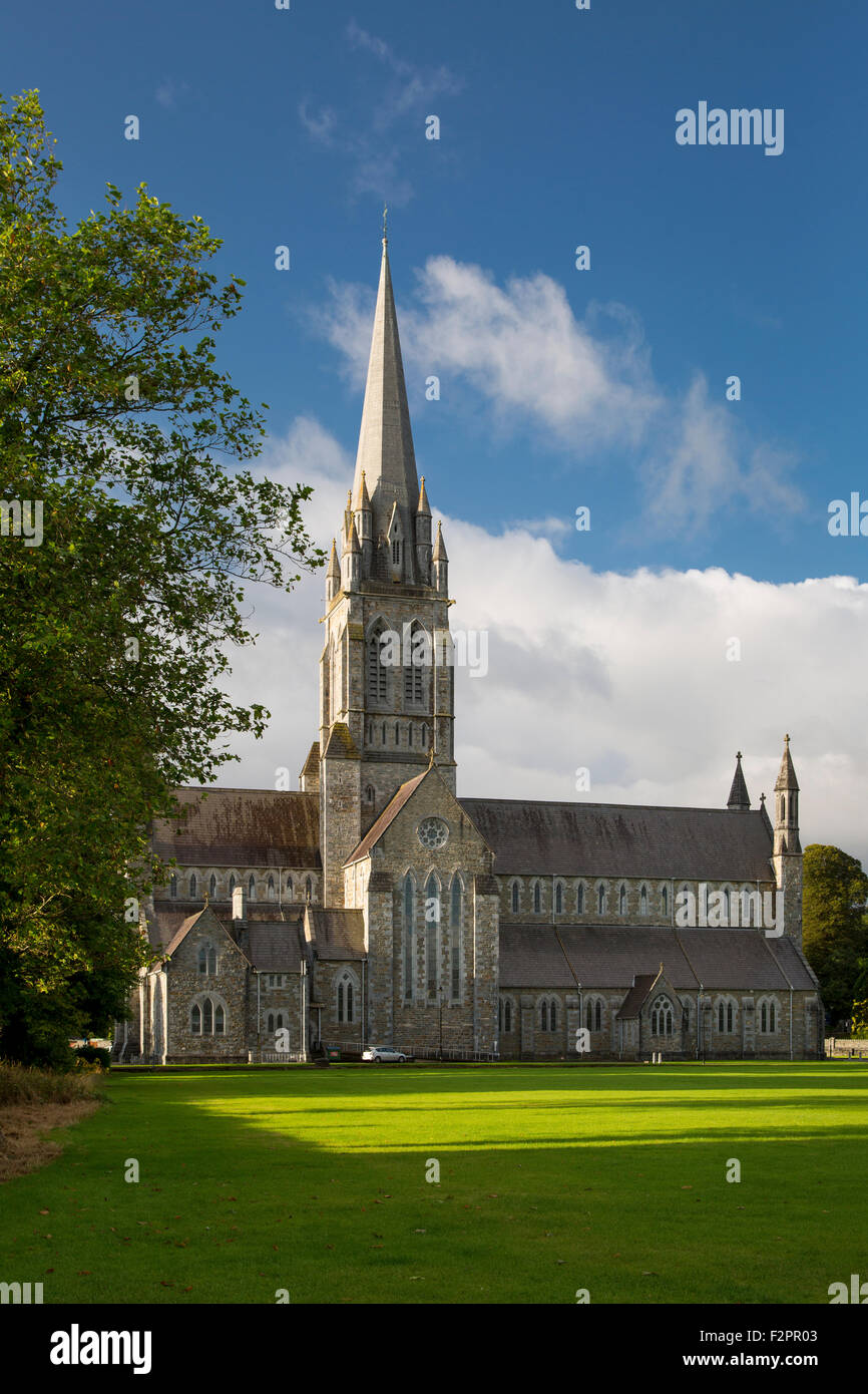 La mattina presto presso la Cattedrale di Santa Maria (b. 1855), Killarney, County Kerry, Repubblica di Irlanda Foto Stock