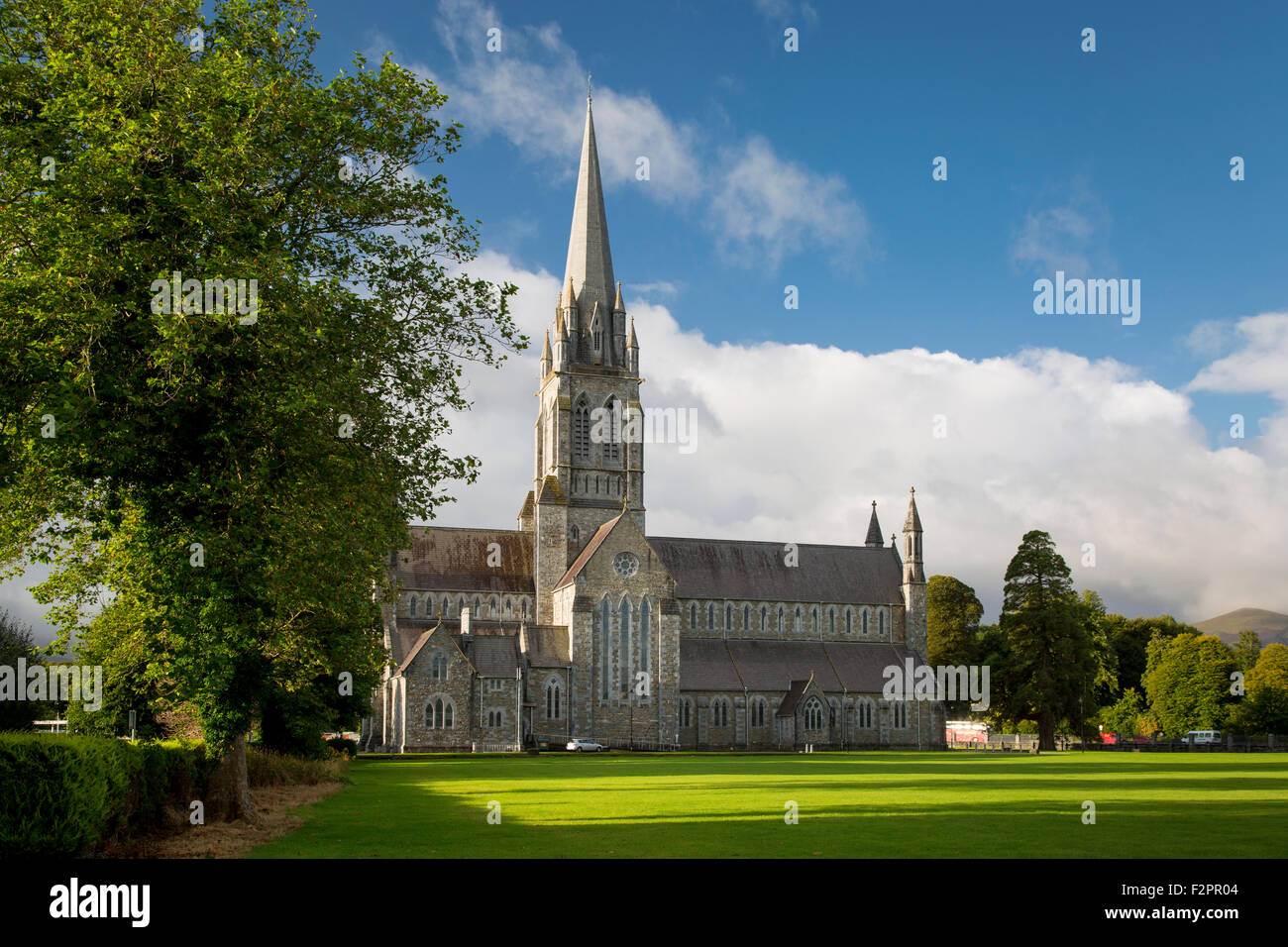 La mattina presto presso la Cattedrale di Santa Maria (b. 1855), Killarney, County Kerry, Repubblica di Irlanda Foto Stock