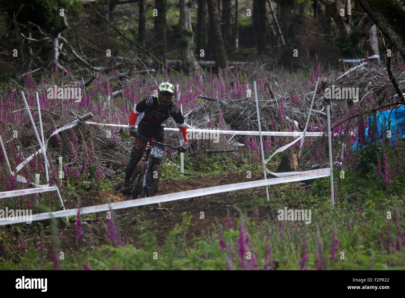 British Downhill Series Mountain bike Sport Estremi Bala Galles atleti domenica giorno di gara 2015 Foto Stock