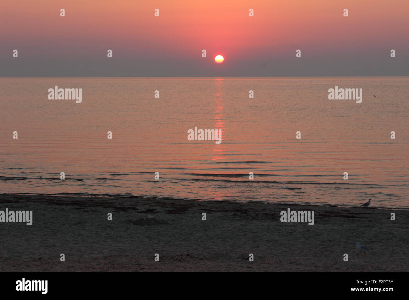 La mattina presto tramonto sul mare Foto Stock