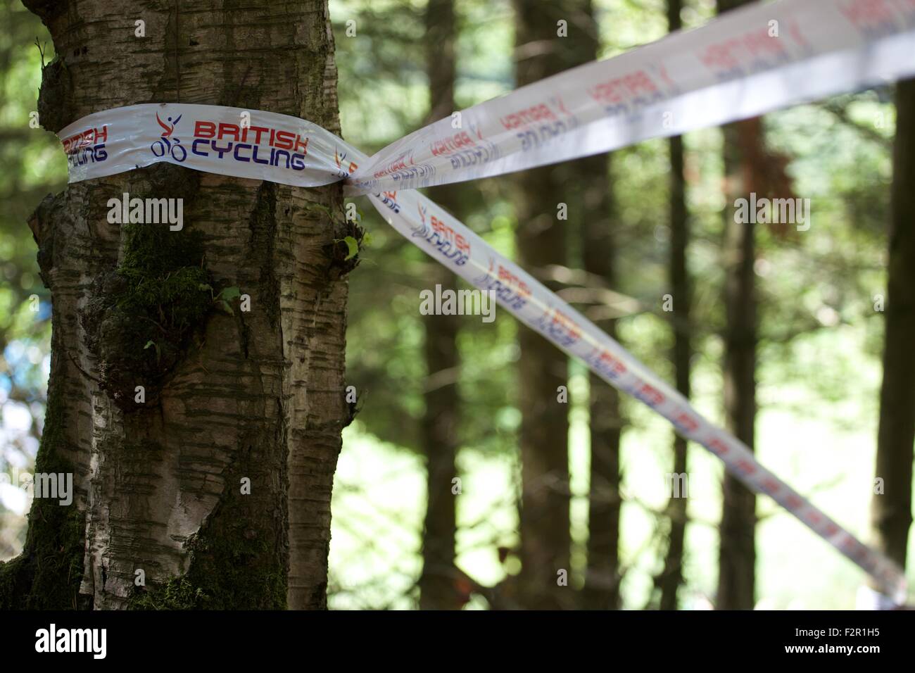 British Downhill Series Mountain bike Sport Estremi Bala Galles atleti domenica giorno di gara 2015 Foto Stock