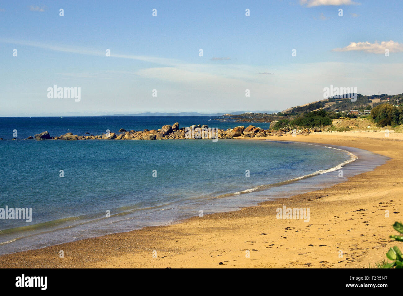 Scena costiera, pinguino in Tasmania, Australia. Foto Stock