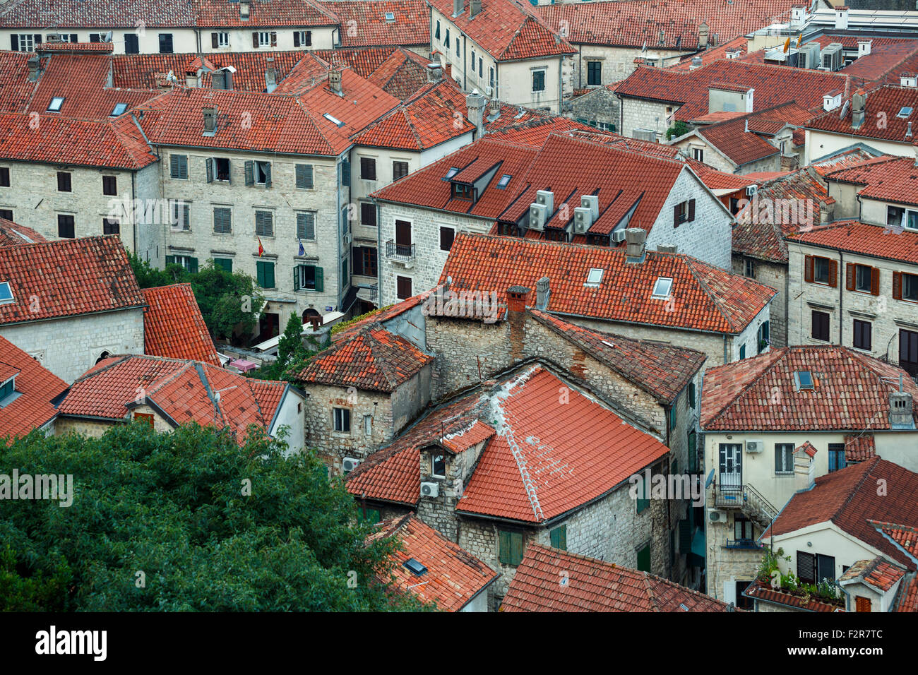 Una prospettiva aerea degli edifici di Cattaro città vecchia, Montenegro, Balcani Foto Stock
