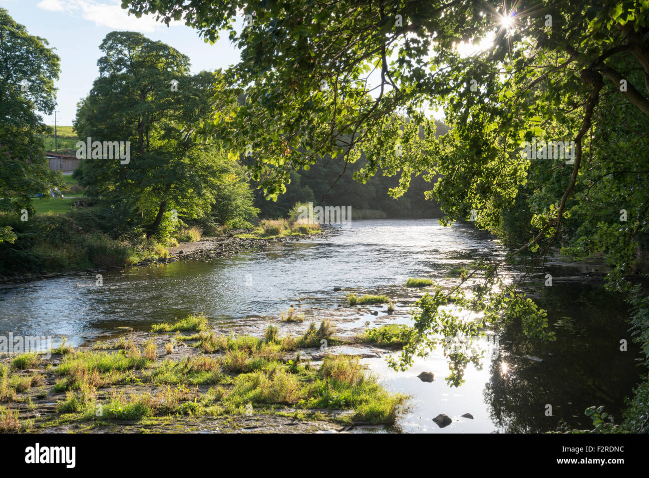Una immagine di panorama del fiume usura Finchale Abby Durham Regno Unito Foto Stock