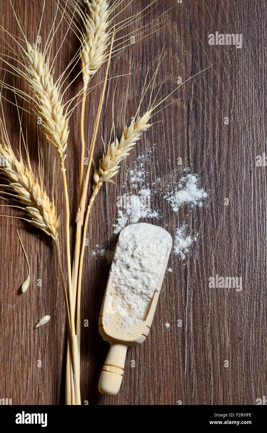 Cucchiai di legno con interi grani di grano e di farina di grano tenero Foto Stock