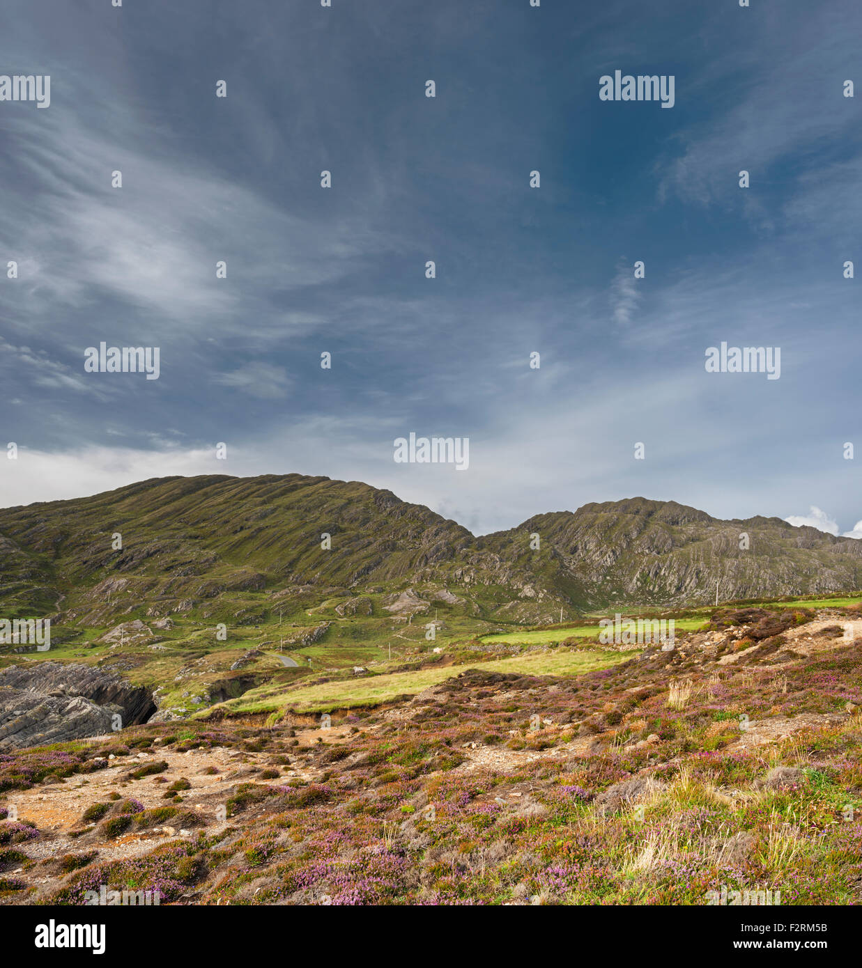 Vista dalla costa vicino a Allihies, Beara, County Cork, verso il Slieve Miskish montagne, composta di ripiegata rocce Devoniano Foto Stock