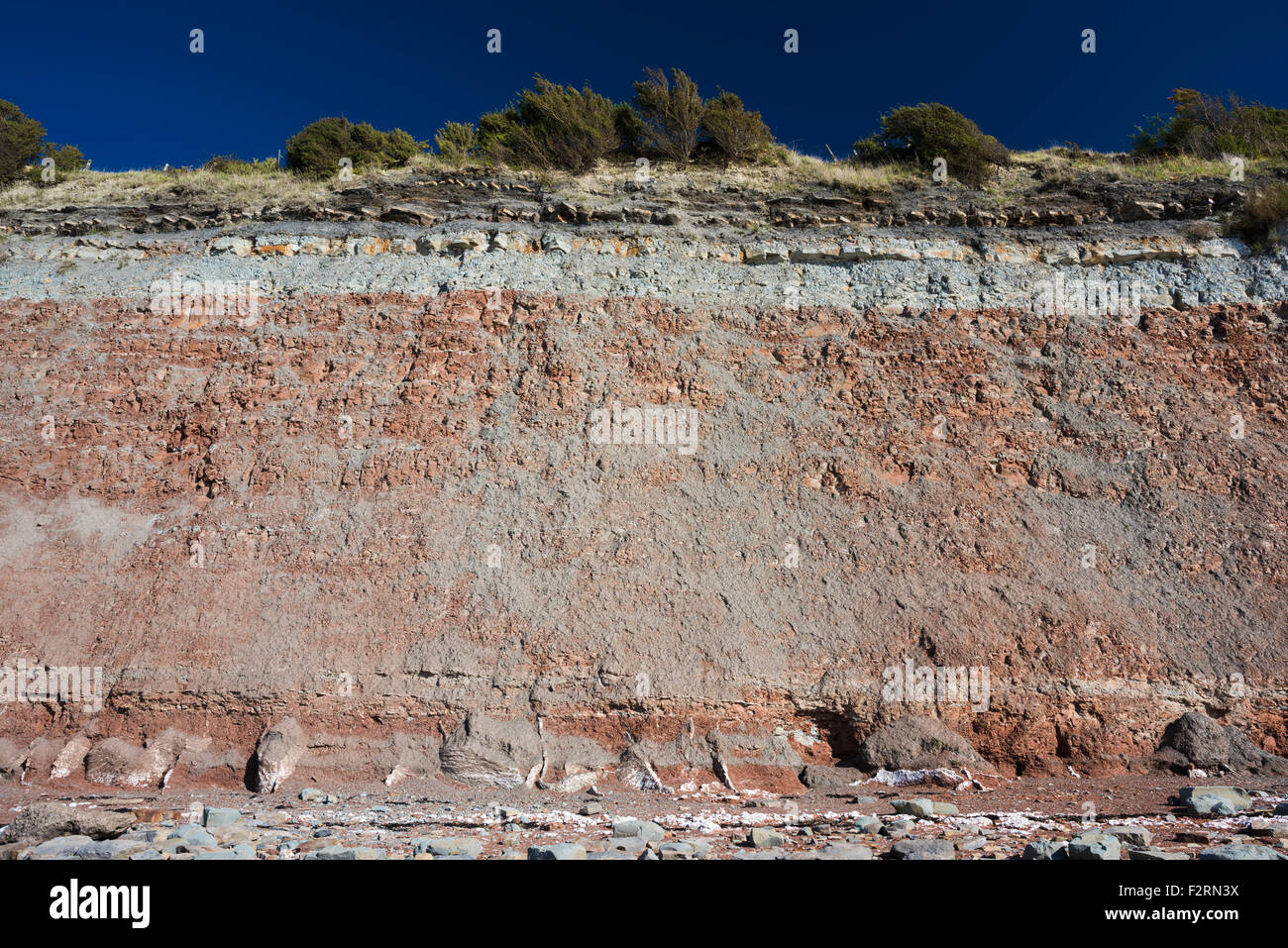 Aust Cliff è un importante e famoso sito geologico, esponendo il Triassico al Giurassico Inferiore unconformably rocce sovrastanti una serie carbonifero Foto Stock