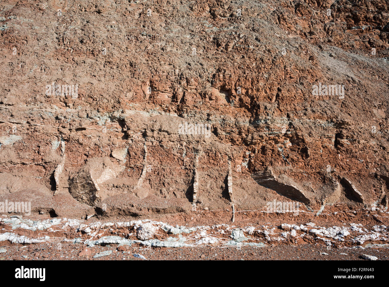 Aust Cliff è un importante e famoso sito geologico, esponendo il Triassico al Giurassico Inferiore unconformably rocce sovrastanti una serie carbonifero Foto Stock