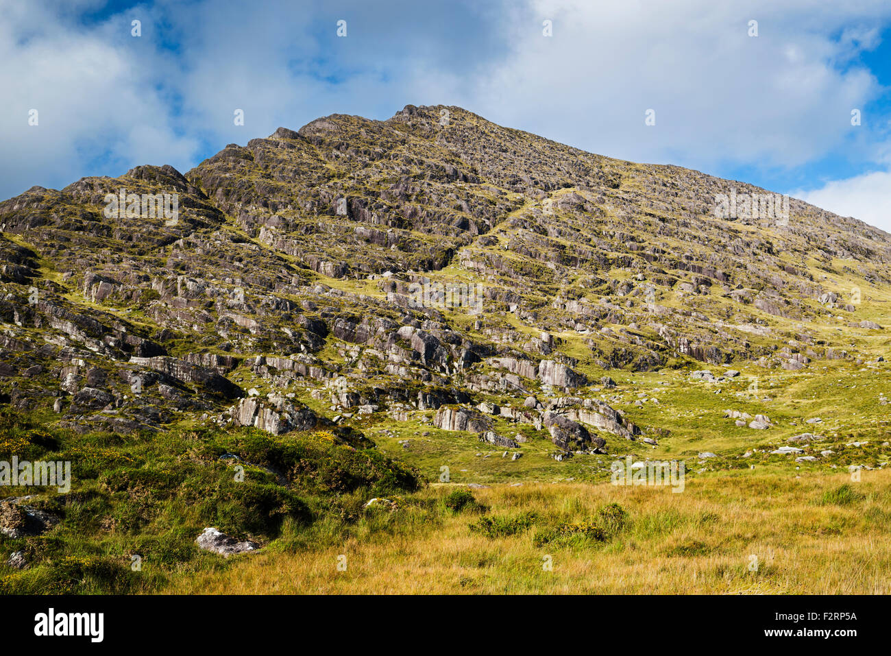 Inclinato e ripiegato Devoniano rocce di arenaria che formano la fame Hill nel Caha montagne della penisola di Beara, nella contea di Cork Foto Stock