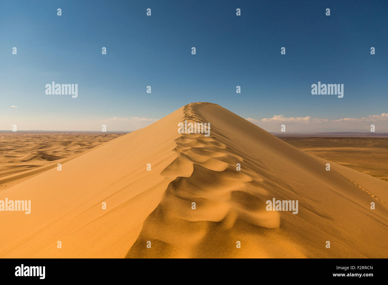 Trail di Dune di sabbia Foto Stock