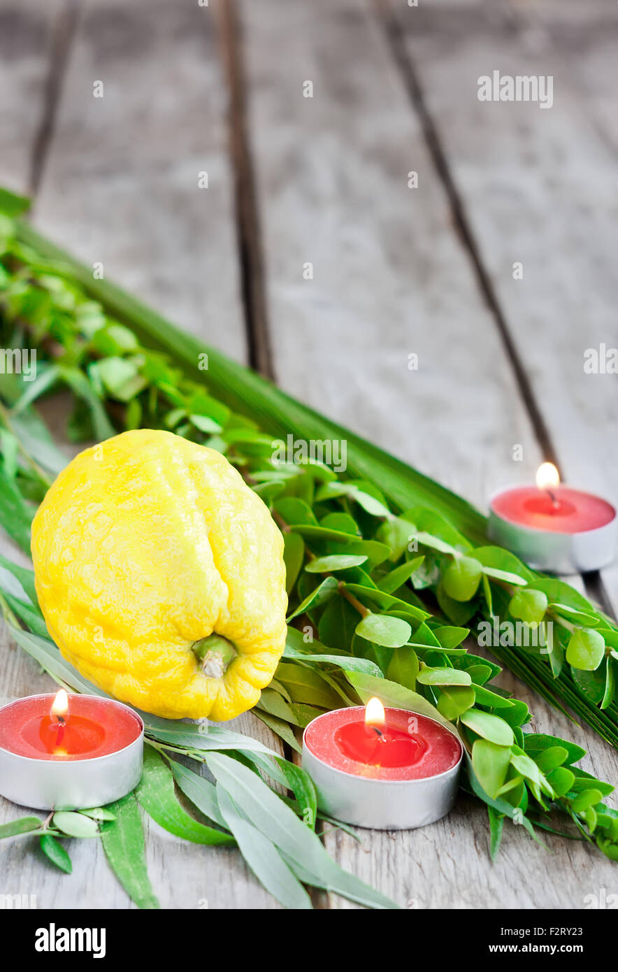 Simboli di ebrei fall festival di Sukkot, lulav - etrog, ramo di palma, il mirto e il salice - sul vecchio sfondo di legno. Foto Stock