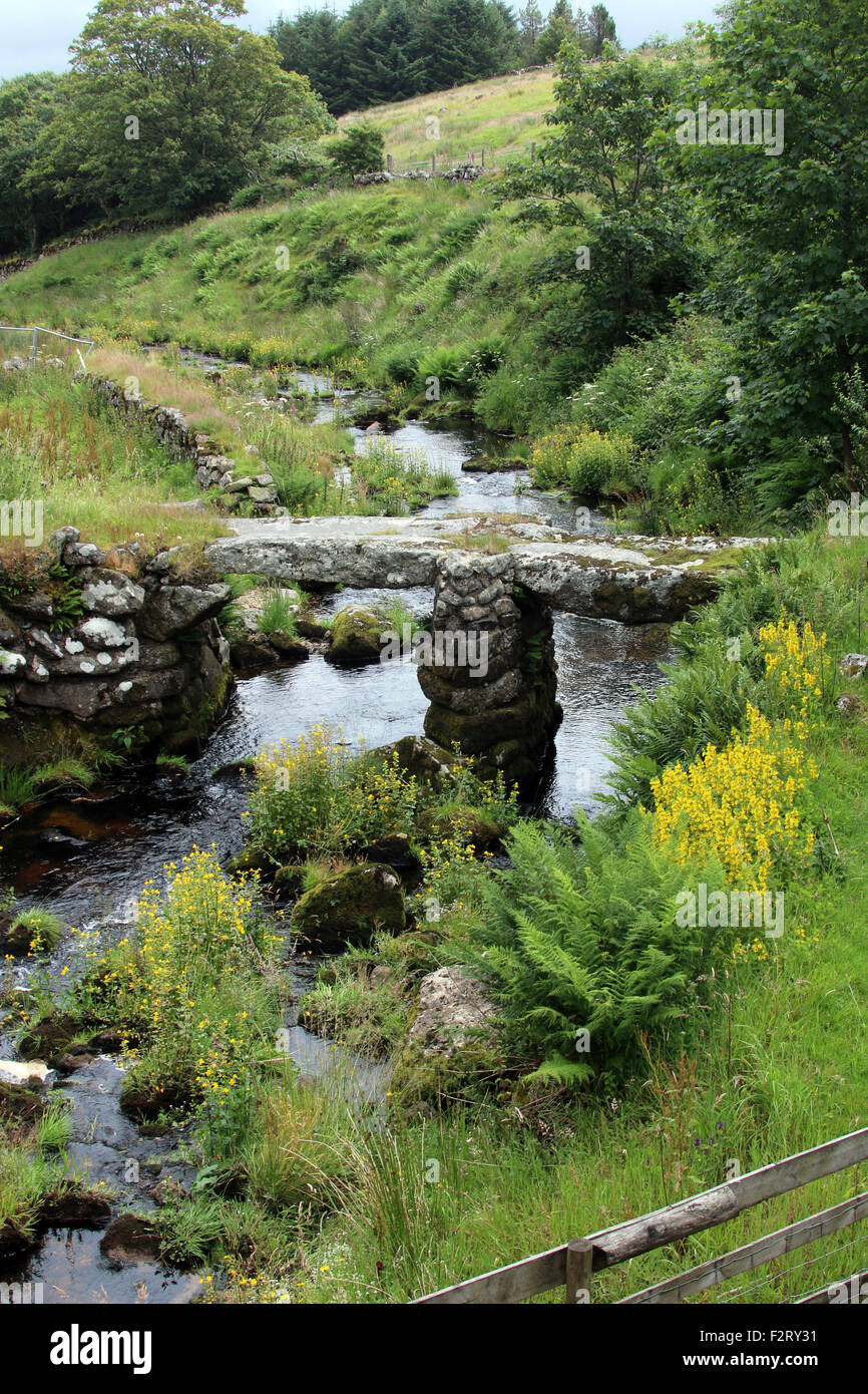 Dartmoor Devon ponte di pietra Foto Stock